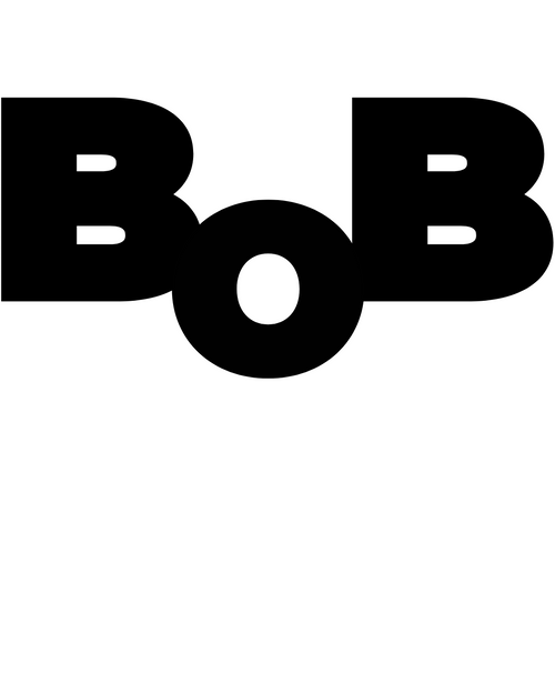TheBoBstore